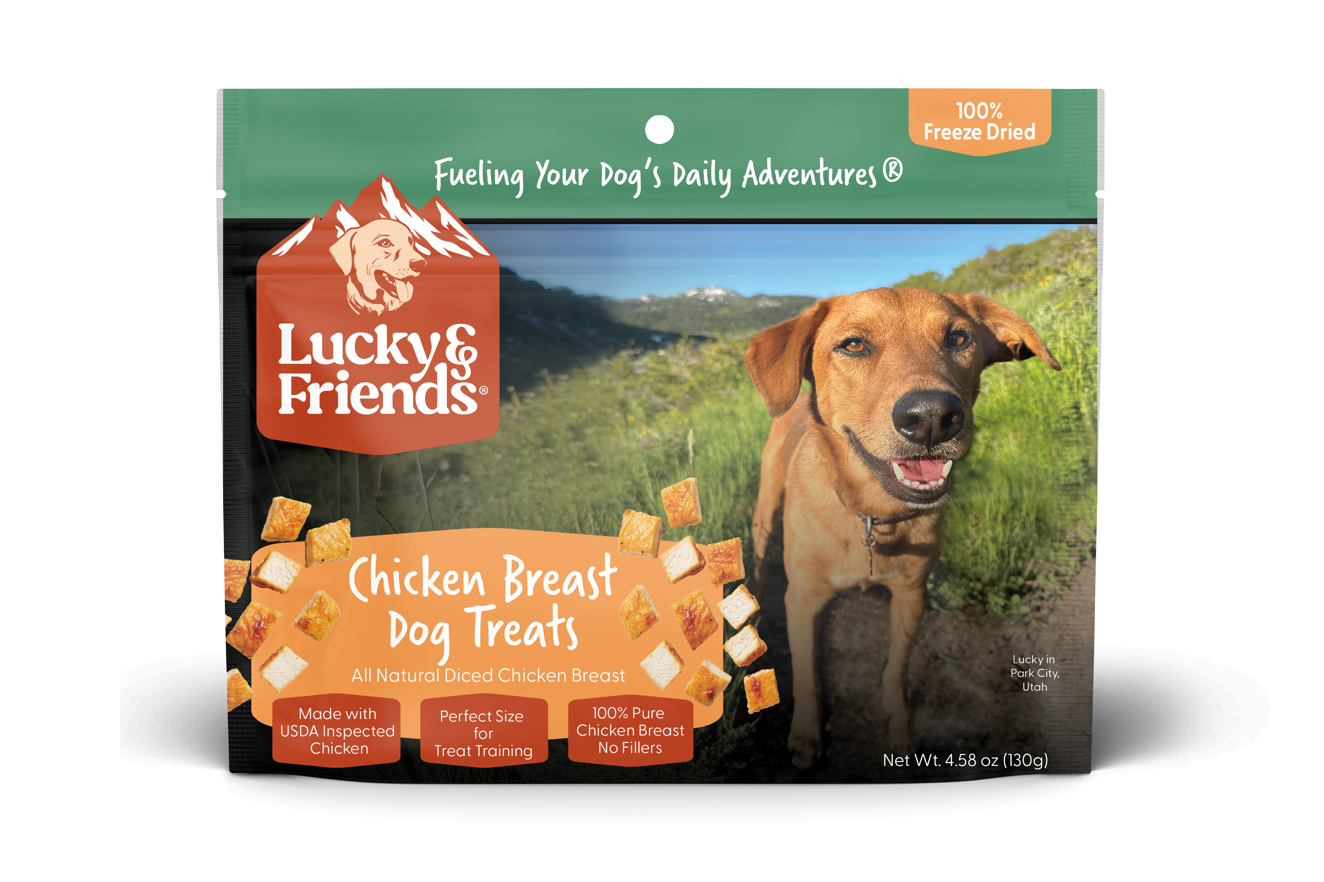 Chicken Breast Dog Treat