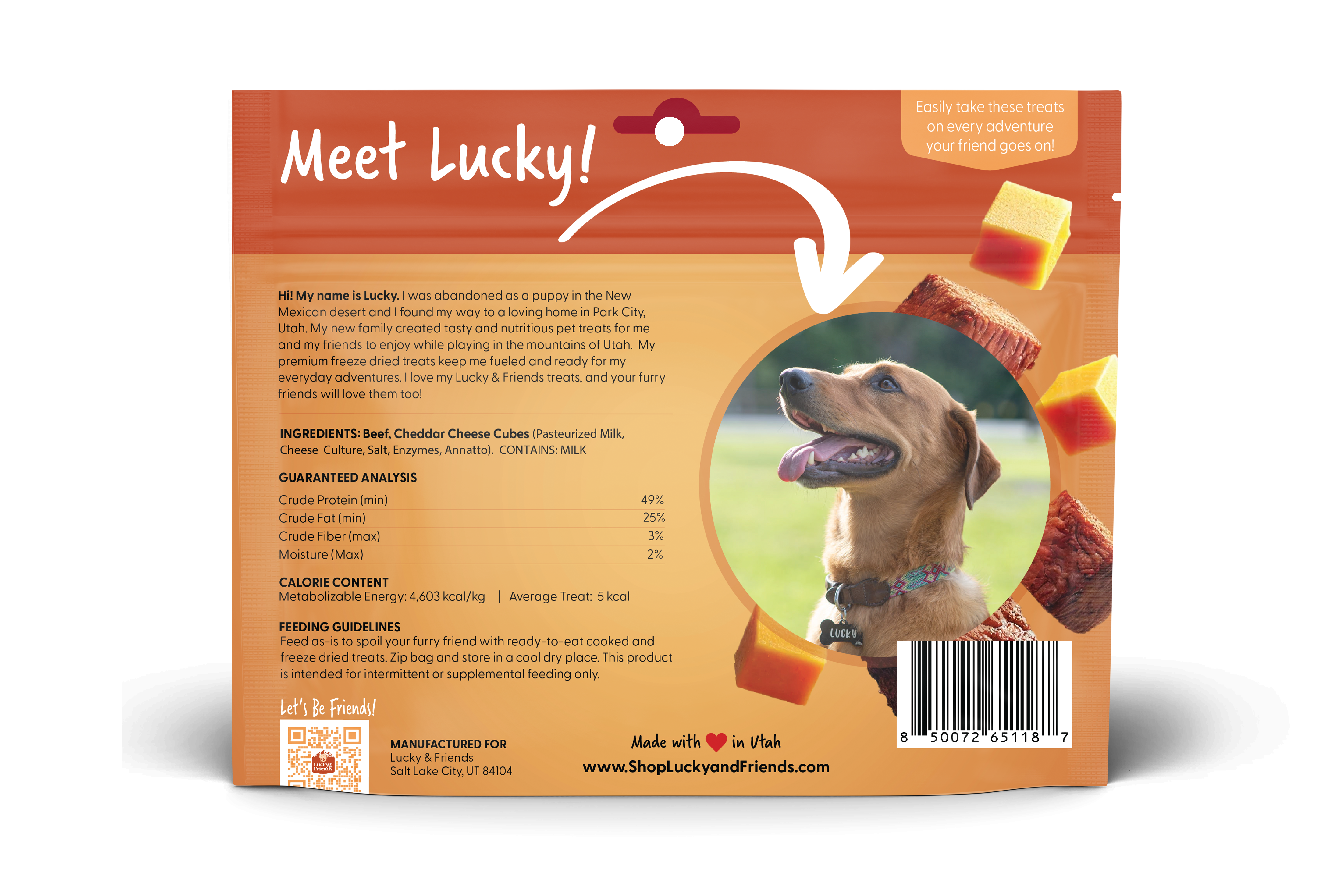 Steak & Cheddar Cheese Bites Dog Treats